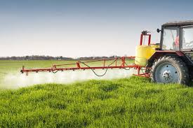 Glyphosate